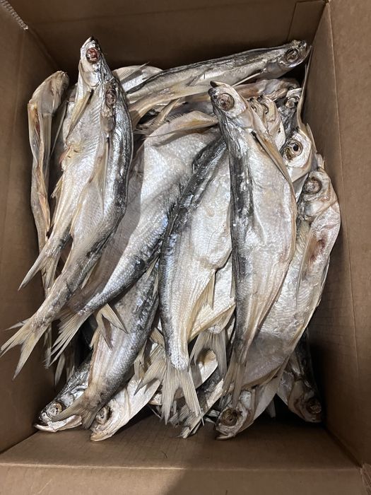 Продам вяленые рыбы чехня.