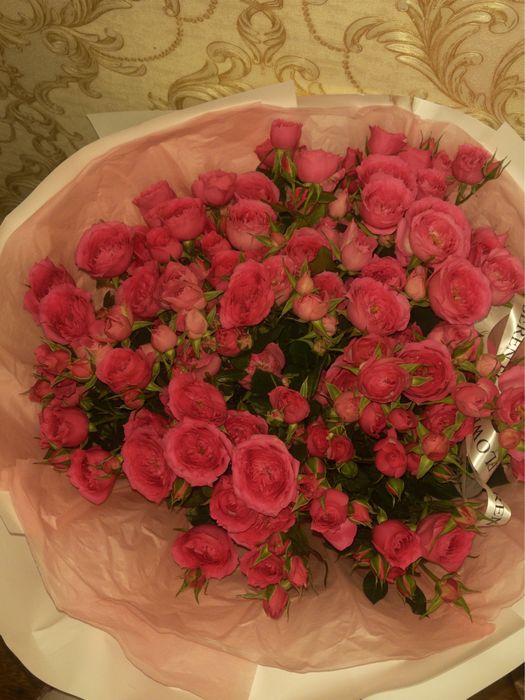 Цветы,бу,свежие купите