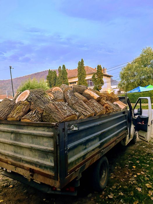 Aduc la preț accesibil