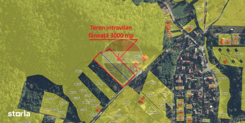 Teren intravilan, 3000 mp, Dâmbu Morii