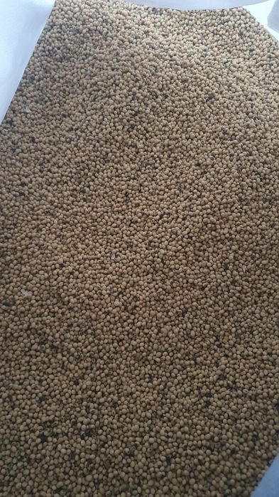 Soia de vanzare selectata