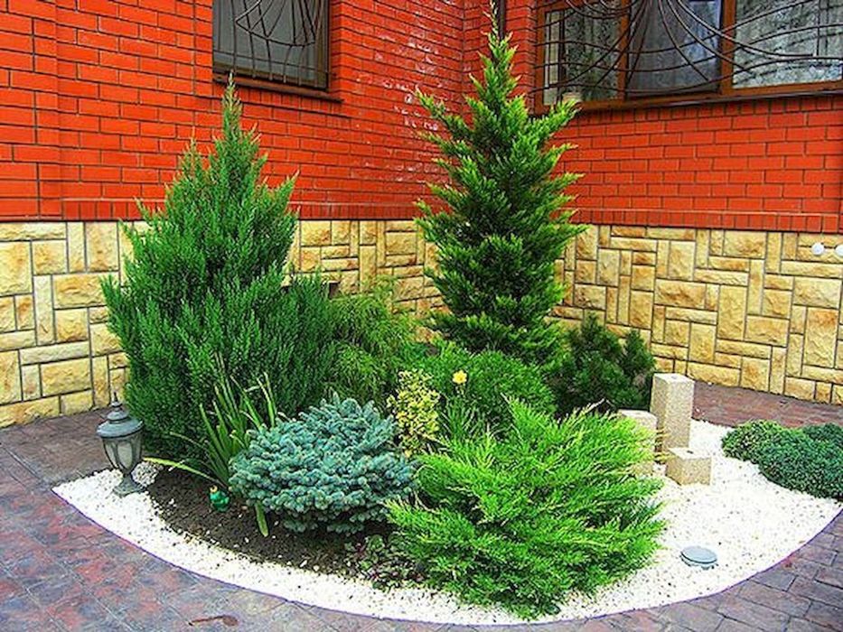 Богбон. дарахт ва кустарникларга шакл бериш Садовник