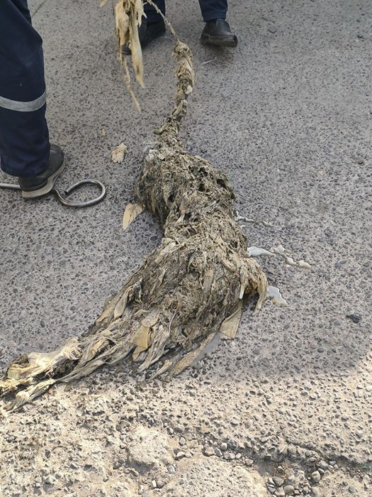 Kanalizatsiya tozalash hizmat