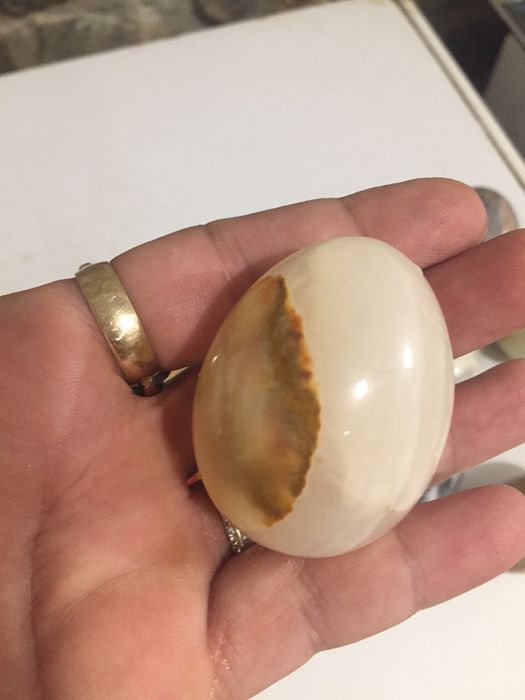 11 бр.колекция яйца от камьк