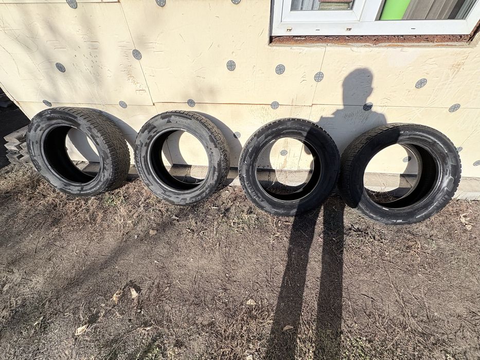 Зимние шины Pirelli