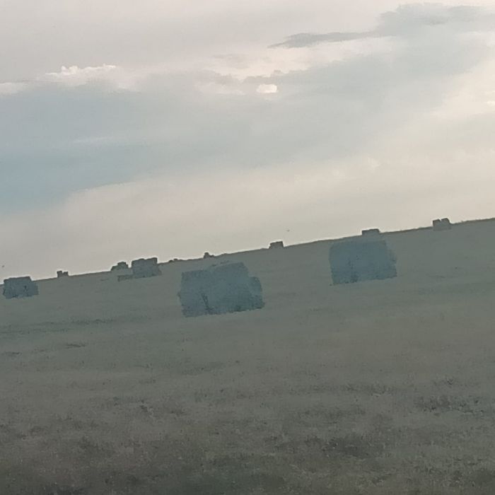 Сено Тюки квадратные