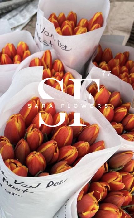 Тюльпаны оптом на 8 марта Алматы