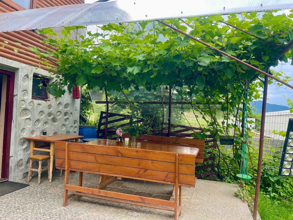 Inchiriere cabana Calimanesti Valcea, cu ponton la Olt