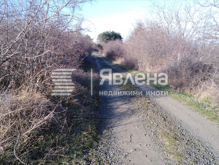 Продава се Парцел в Царево - 926 кв.м за 30 €/кв.м - Снимка #3