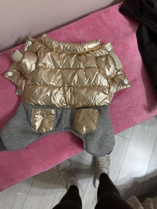 Одежда для щенков