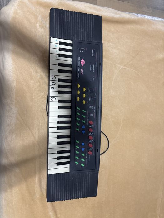 Orga electronica pentru copii