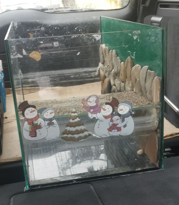 Terariu broasca testoasa