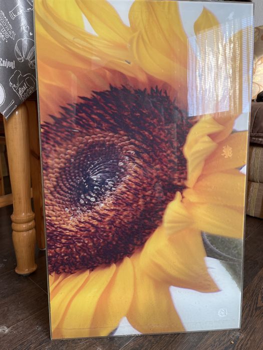 Принт/стъкло/за кухненски гръб