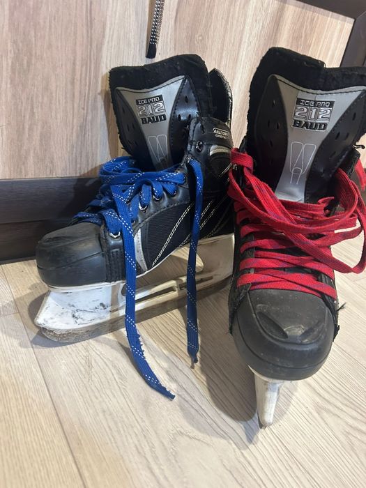 Коньки анатомики