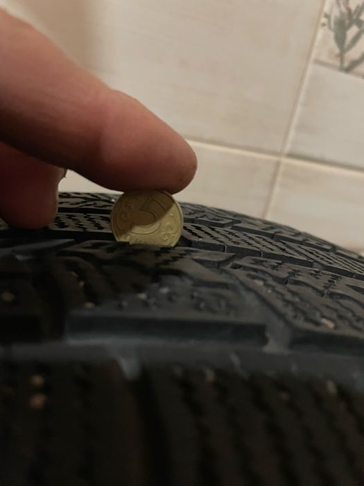 Шины зимние NEXEN