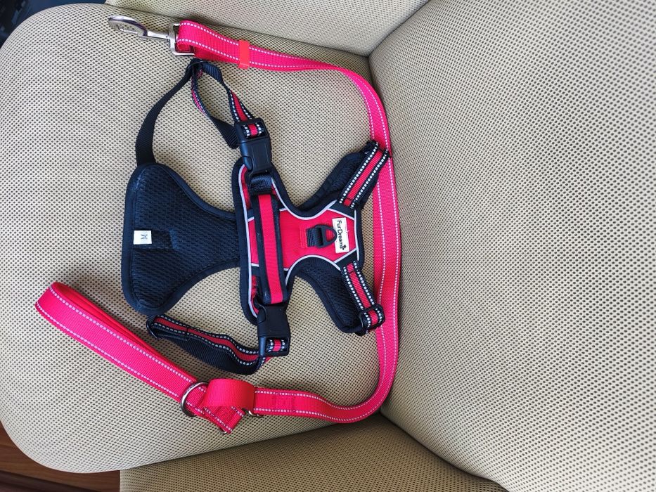 Ham cu lesă pentru câine