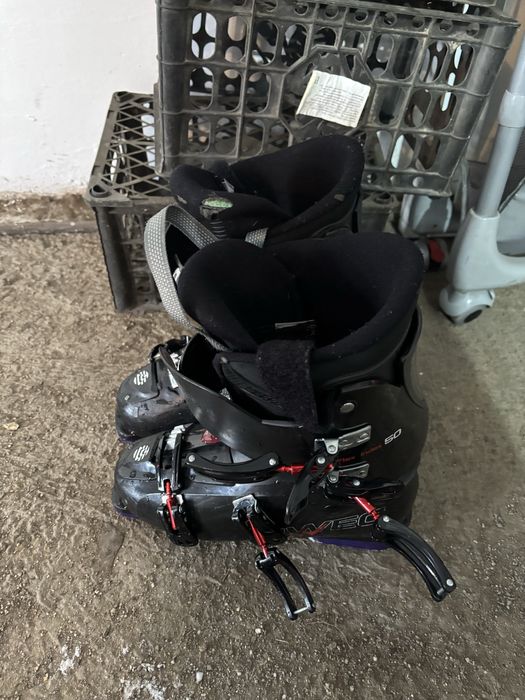 Горные лыжи Elan