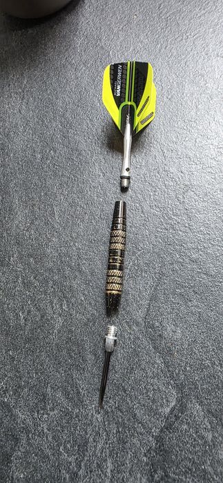 Sageti de darts cu varf de plastic si de metal, 16 g
Ideale atat pentr