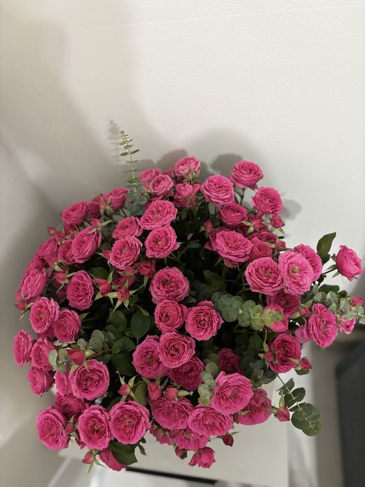 Продам цветы спрей роза