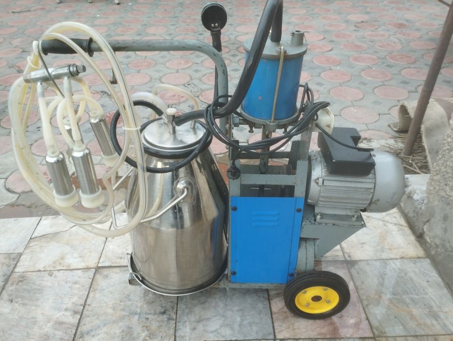 Доильный аппарат