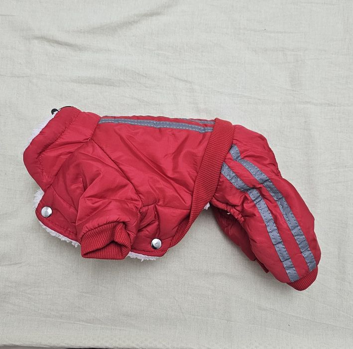 Одежда для собак