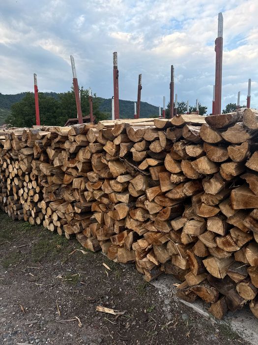 Lemne de foc brad - Preț accesibil, livrare în Sovata