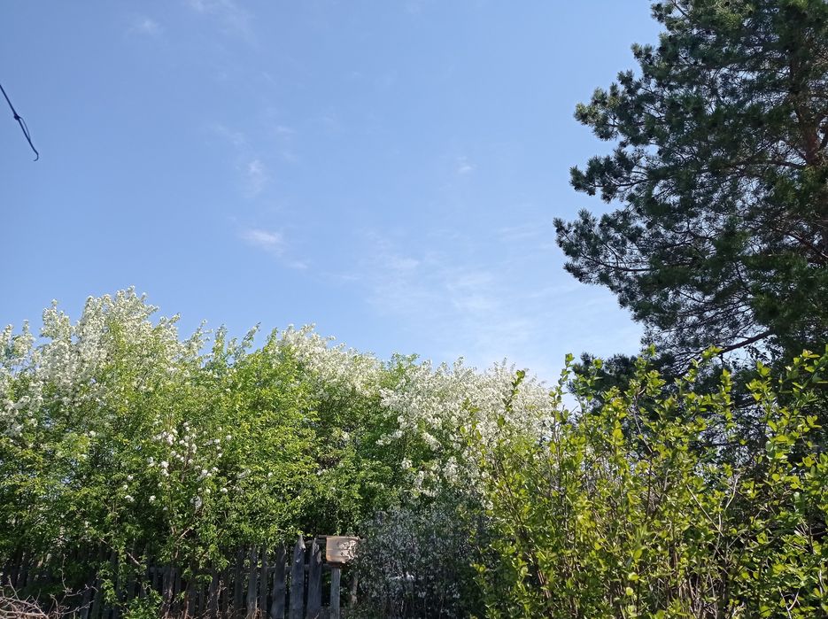 Сдам дачу в аренду