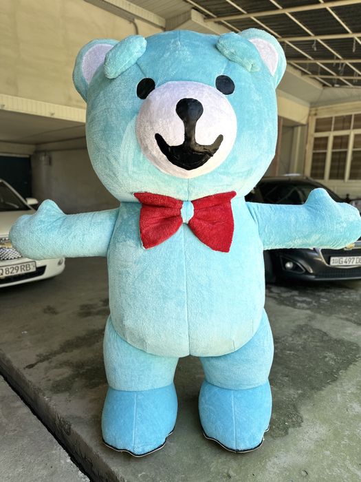 Kotta Ayiqlar sotilad