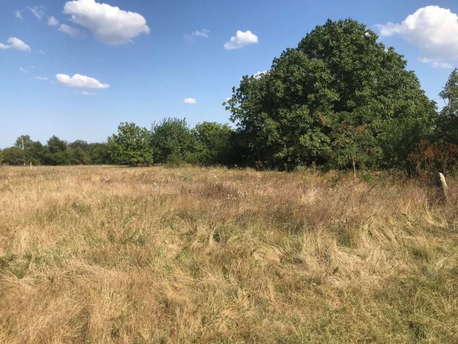 Продава се Парцел в с. Искър, Област Варна - 3215 кв.м за 4 €/кв.м - Снимка #1