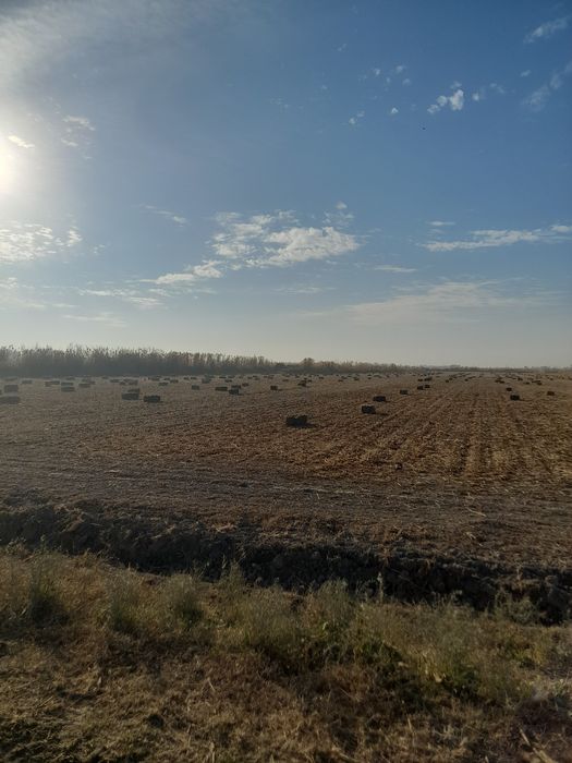 Макка прес сотилади