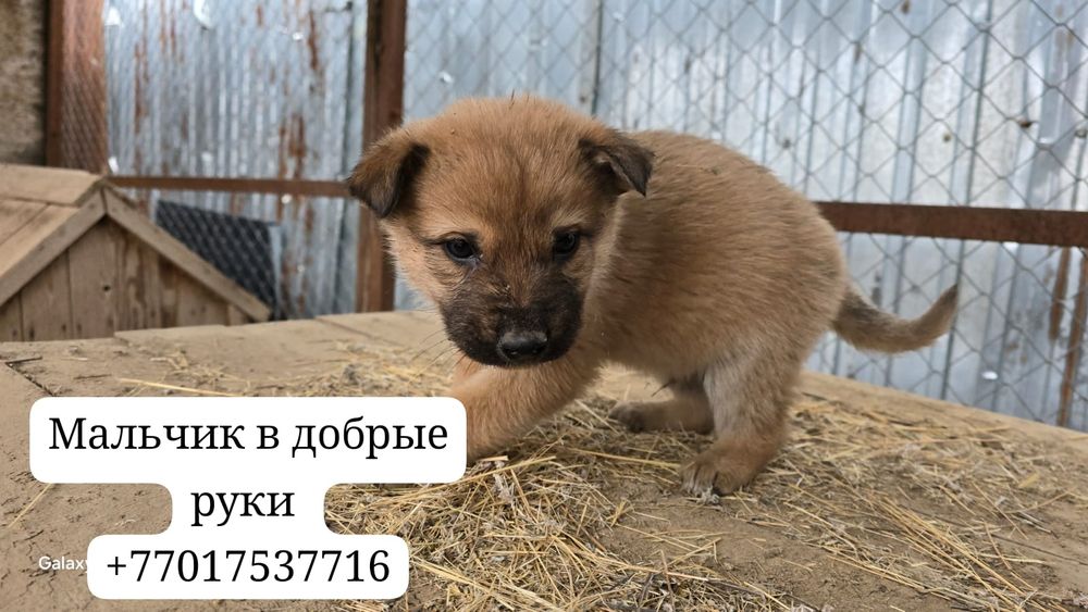 В самые добрые и ответственные руки