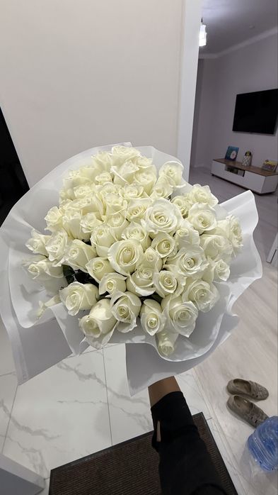 Продам цветы 51шт
