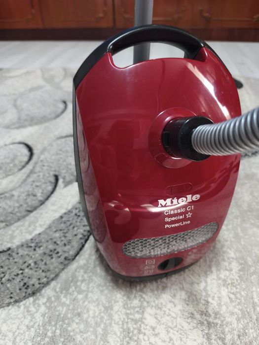 Aspirator de jucărie miele