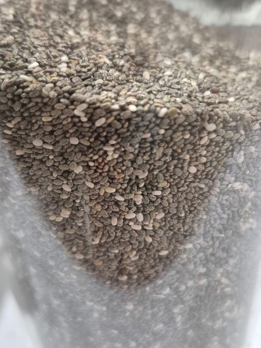 Продам семена чиа