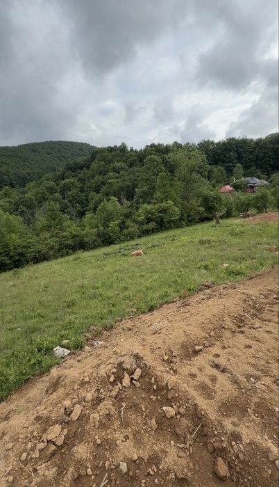 Teren de vânzare in Damiș
