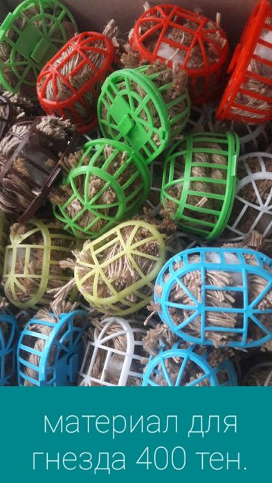 Все для канареек и попугаев.