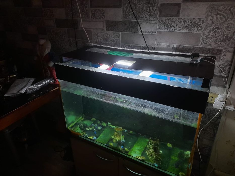 Аквариум с рыбками