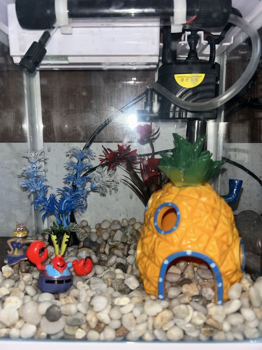 Аквариум 5 литр 30 см