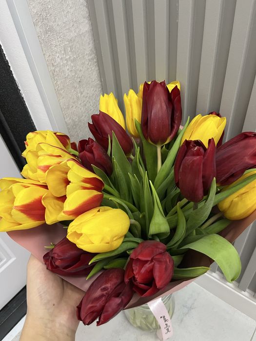 Тюльпан свежии 21 штук