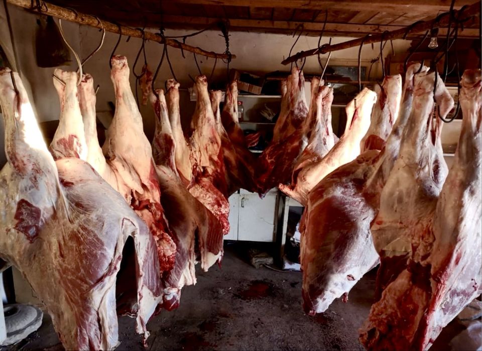 сиыр тайынша соғым ет туша