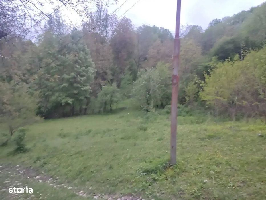 Teren intravilan | Provița de Sus | Breaza | PRAHOVA