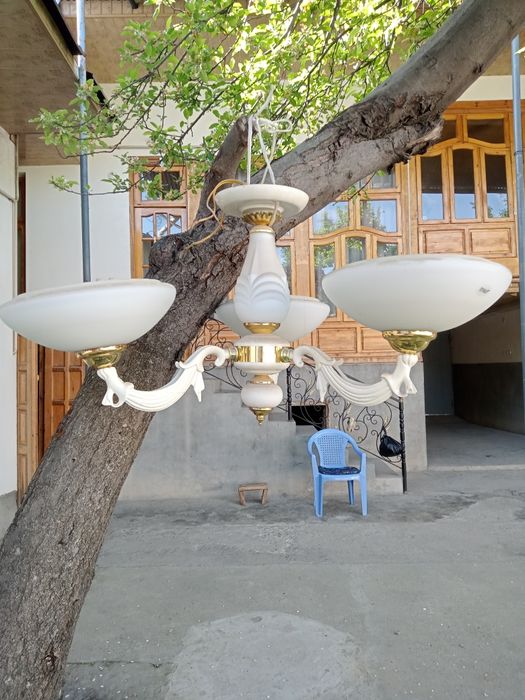 Луюстира сотилади холати яхши синмаган бутун