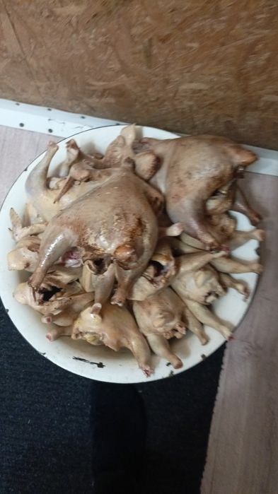 Мясо курей резаных