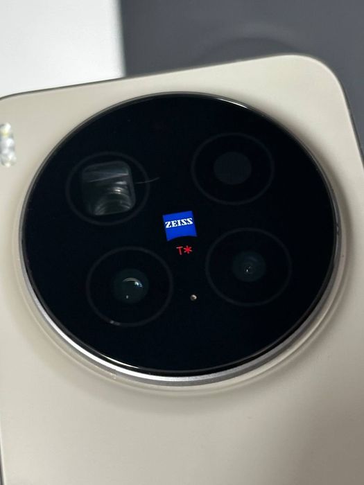Vivo X300 Pro 12/256