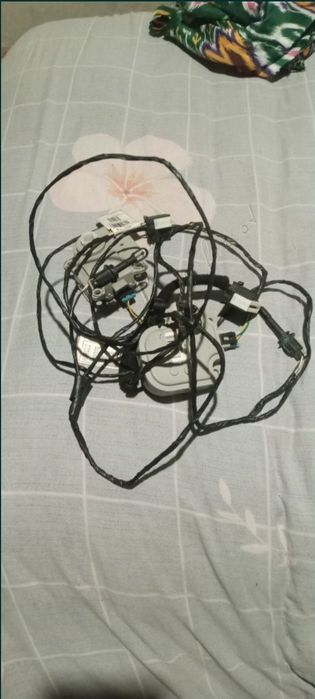 Kandisoner kaptiov maibga kobtga spark jentra bor holati zoʻr