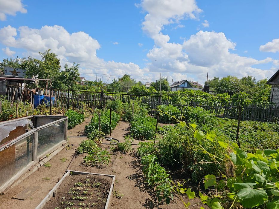 Продам дачу в саду "Клён"
