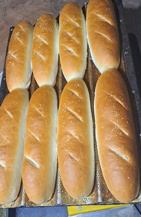 Xoddog gamburger nonlari