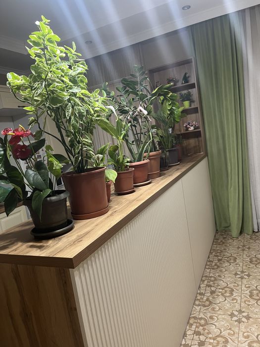 Барный стойка студия