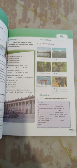 Рабочая тетрадь Excel grade 7 Workbook & Grammar Book