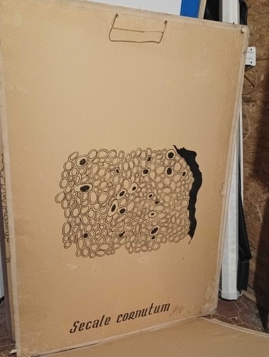 Ретро плакати ботаника